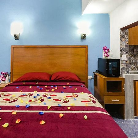 Suite Studio Serviced Apartments Mérida Exteriör bild